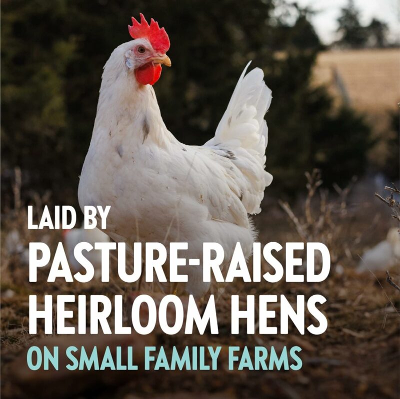 Vital Farms True-Blues Pasture-Raised Heirloom Eggs, Medium, Certified Humane, 12 ct - Image 3